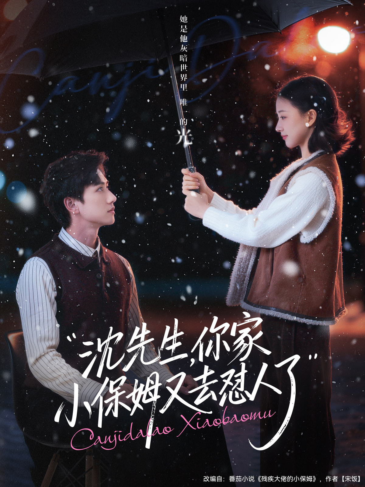 沈先生，你家小保姆又去怼人了(全集)