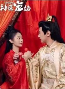 皇帝的神医宠妃第01集