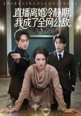直播离婚冷静期，我成了全网公敌(全集)