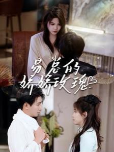 易总的娇娇玫瑰第1-20集