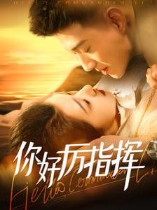 你好厉指挥第41-60集