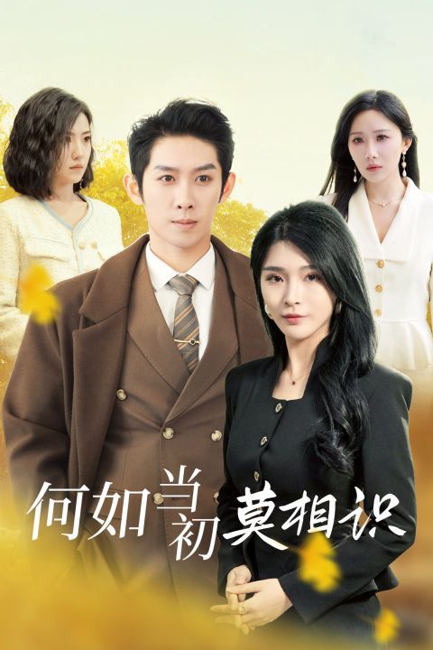 何如当初莫相识全集完结(大结局)
