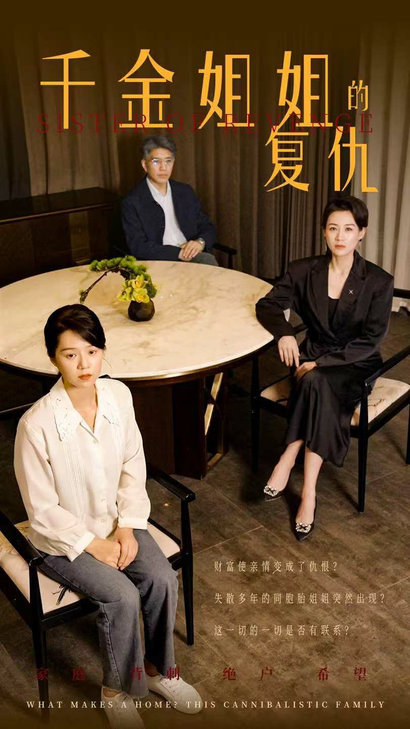 千金姐姐的复仇第1-20集