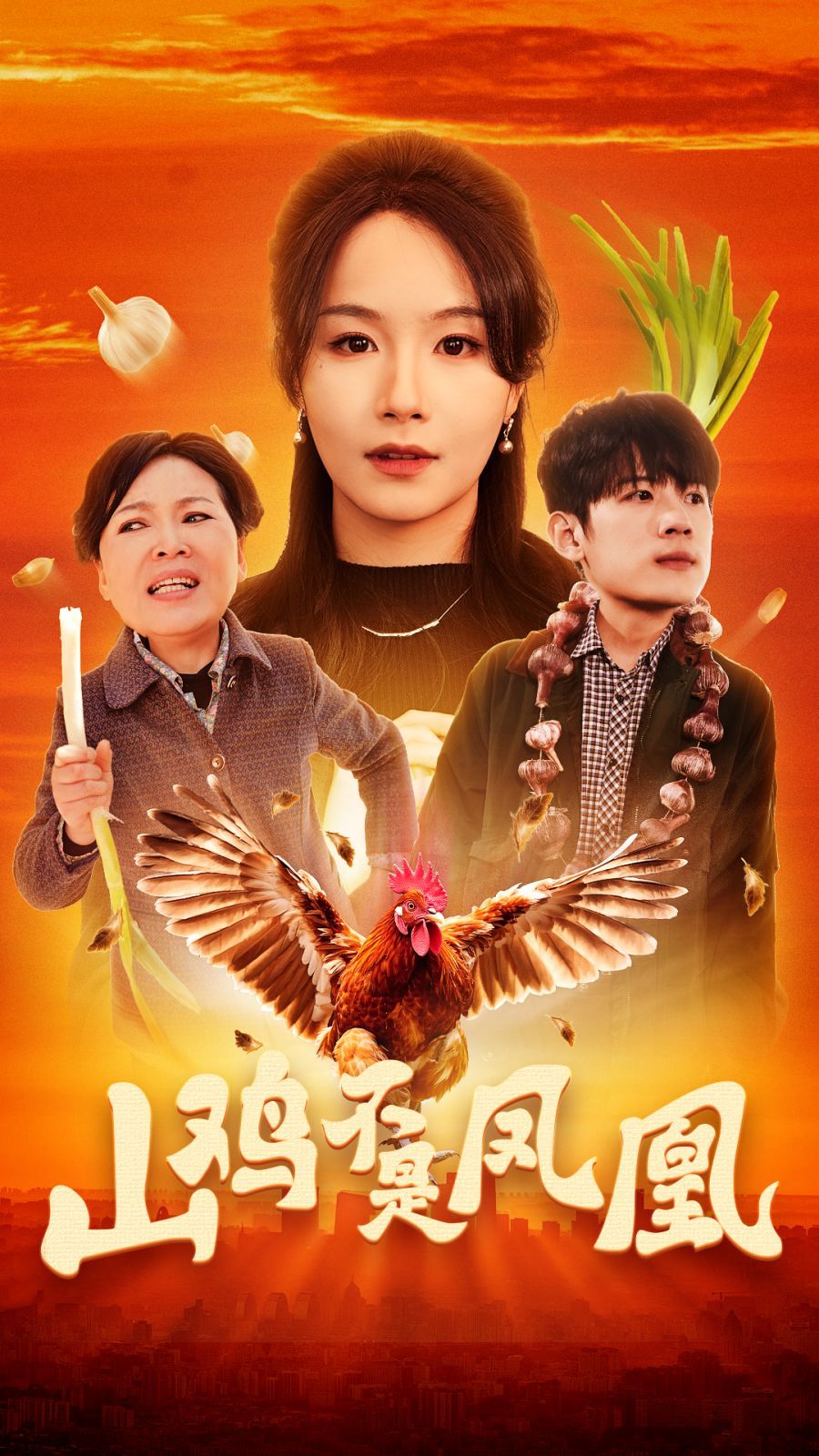 山鸡不是凤凰第1-30集