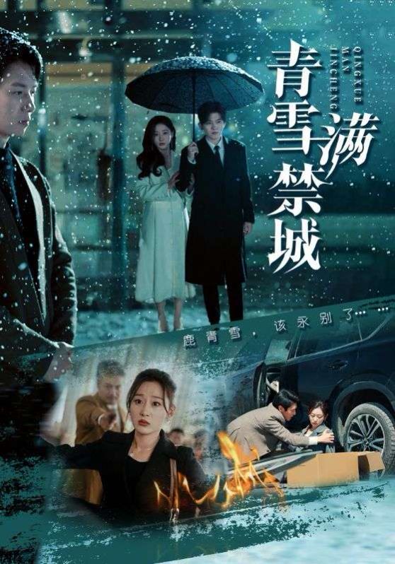 青雪满禁城第41-51集完结(大结局)