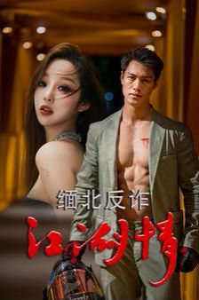 缅北反诈江湖情第1-20集