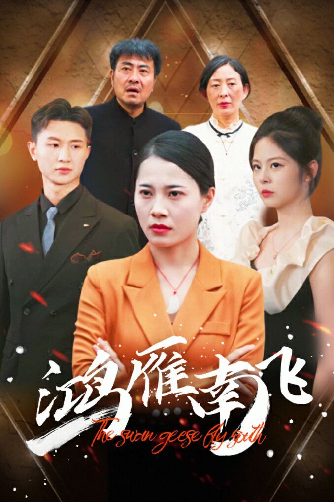 鸿雁南飞第1-20集